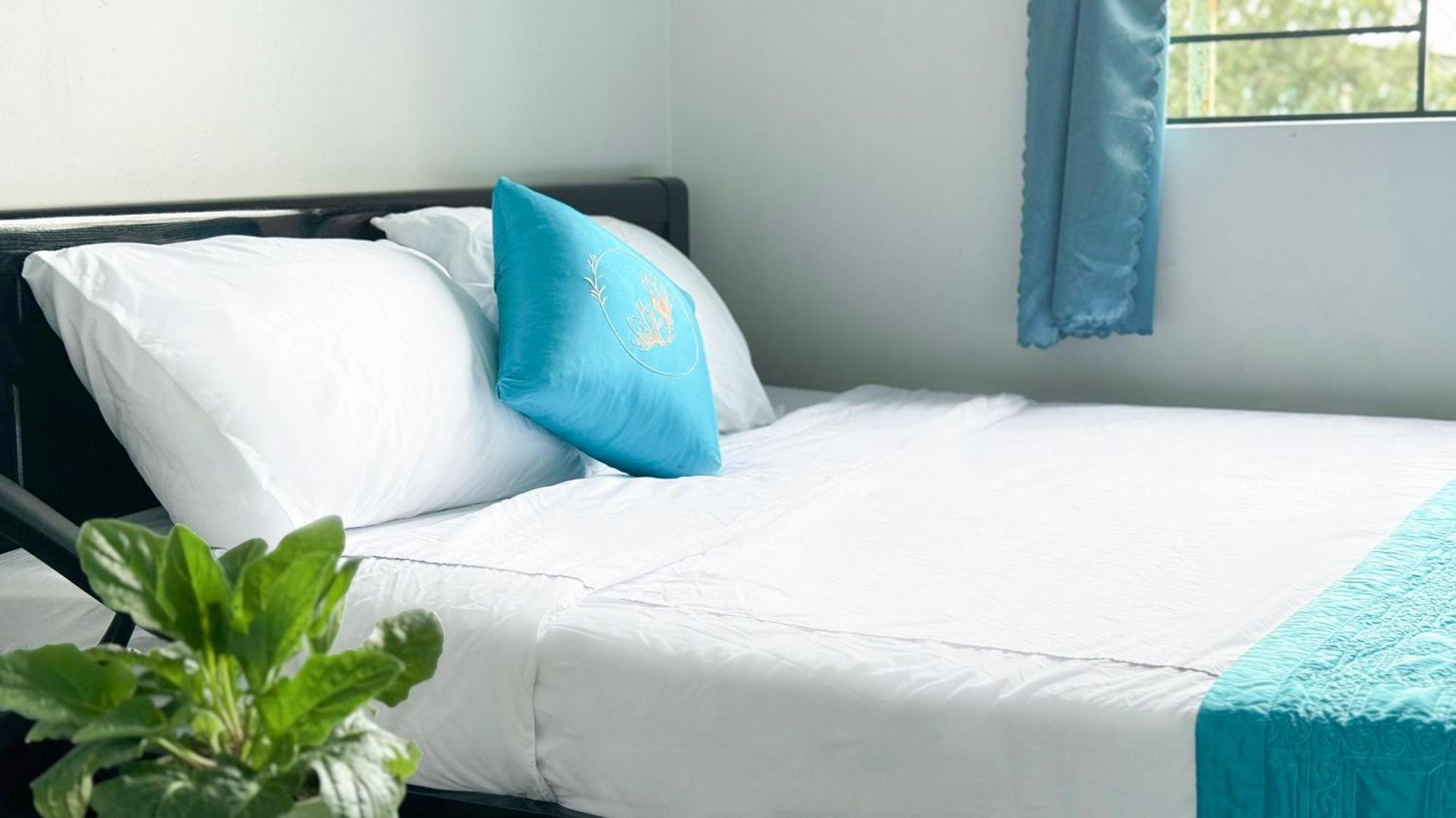 Thon Kim Long Plumeria Homestay מראה חיצוני תמונה